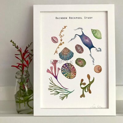 Framed Rainbow Rockpool Study A4 Print theat can be personalised