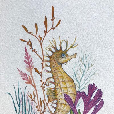 close up of seaweed watercolour print