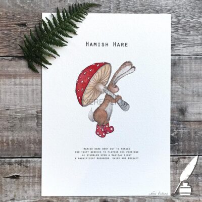 Hamish Hare A4 Print