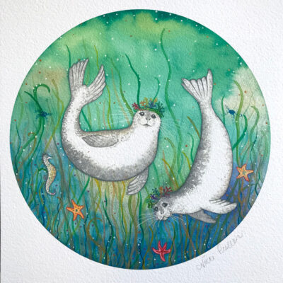 Close up image of the harbour seals
