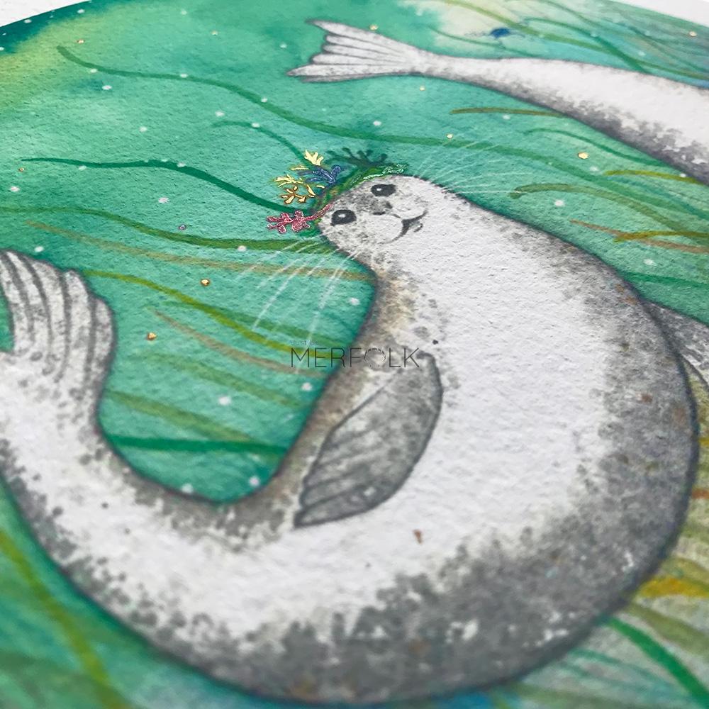 Harbour seals close up image of the crown