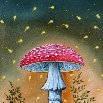 Glowing Fairies arount the enchanted mushroom