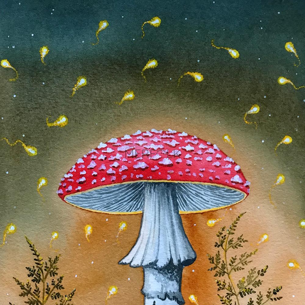 Glowing Fairies arount the enchanted mushroom