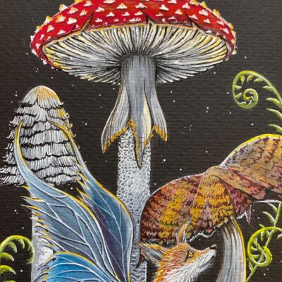 fox fairy mushroom close up