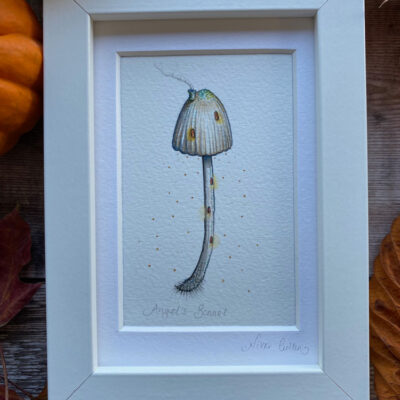 Angels bonnet mushroom art