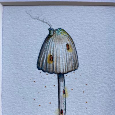 close up angels bonnet