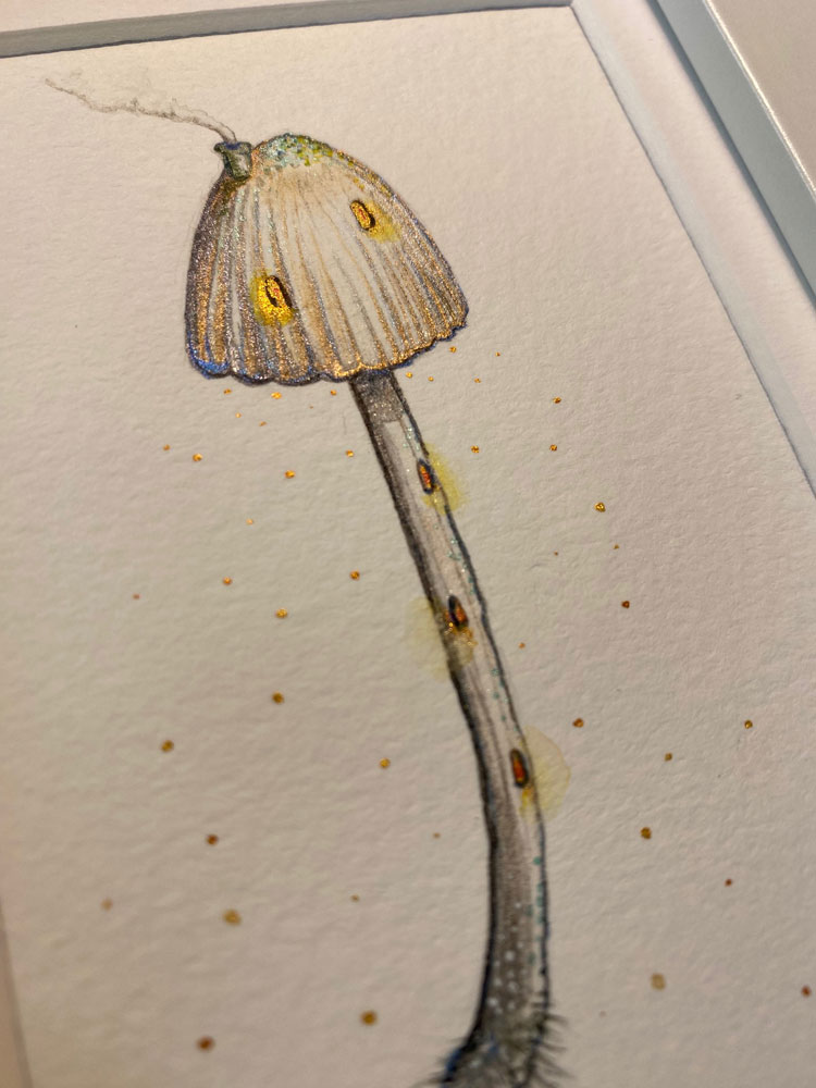 Mushroom home collection - Angels Bonnet - Image 2