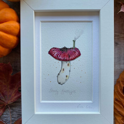 bloody brittlegill original art