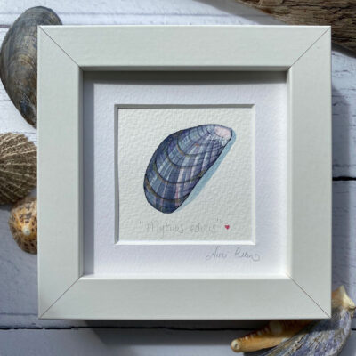 Original Mussel painting
