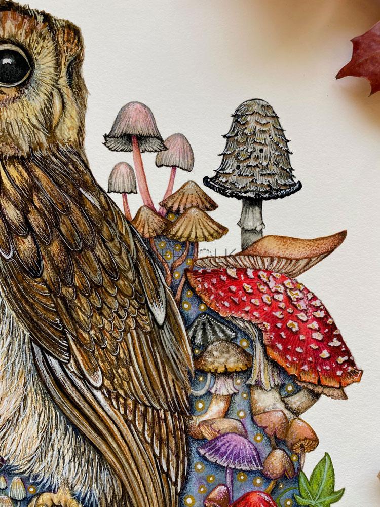 owl and mushroom close 2