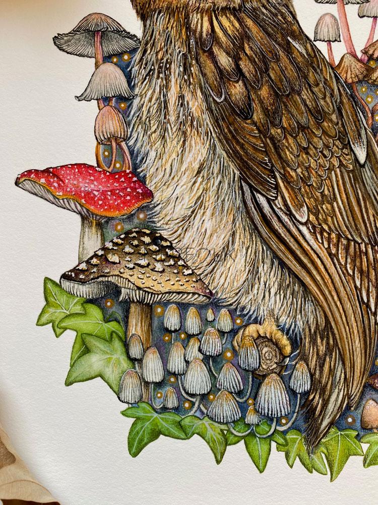 owl and mushroom close 3