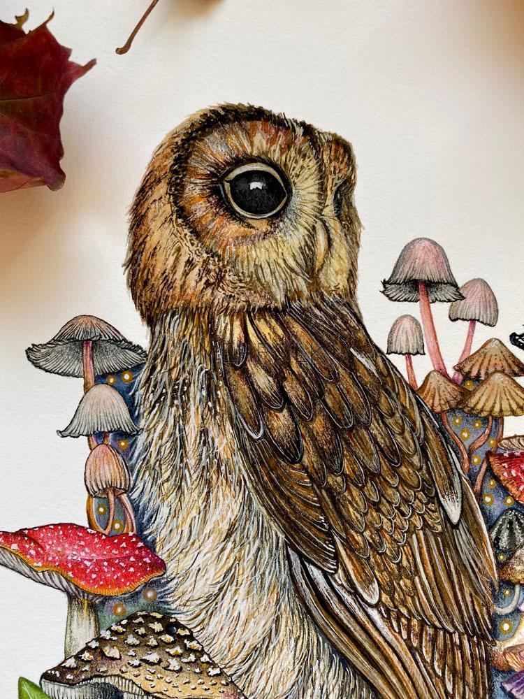 Owl and mushrooms close up head