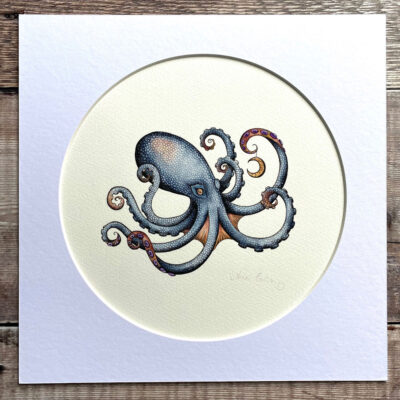 Celestial blue octopus