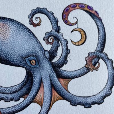 celestial blue octopus close up
