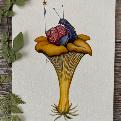 A6 chanterelle mushroom print