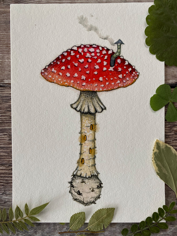 4 x A6 Mushroom Lovers Print Collection - Image 3