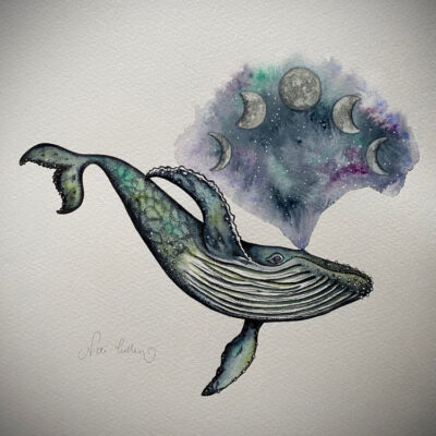 celestial humpback whale moon phases