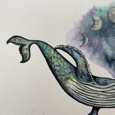 celestial humpback whale tail