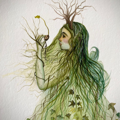dryad a5 close up
