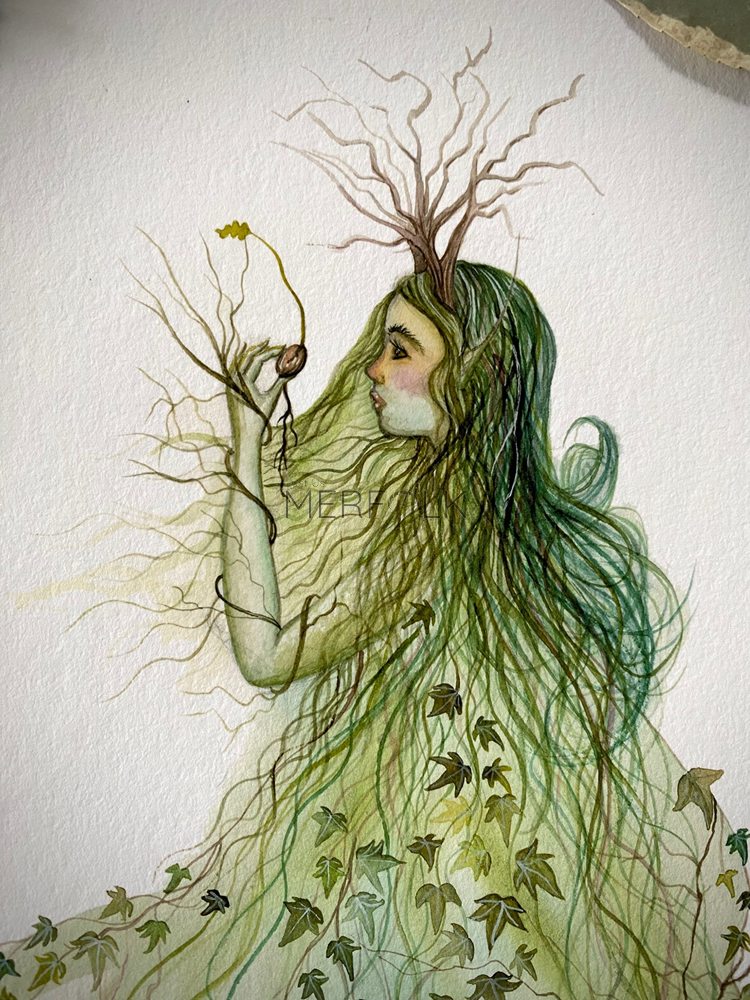 dryad a5 close up