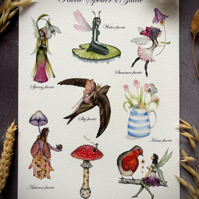 faerie spotter's guide