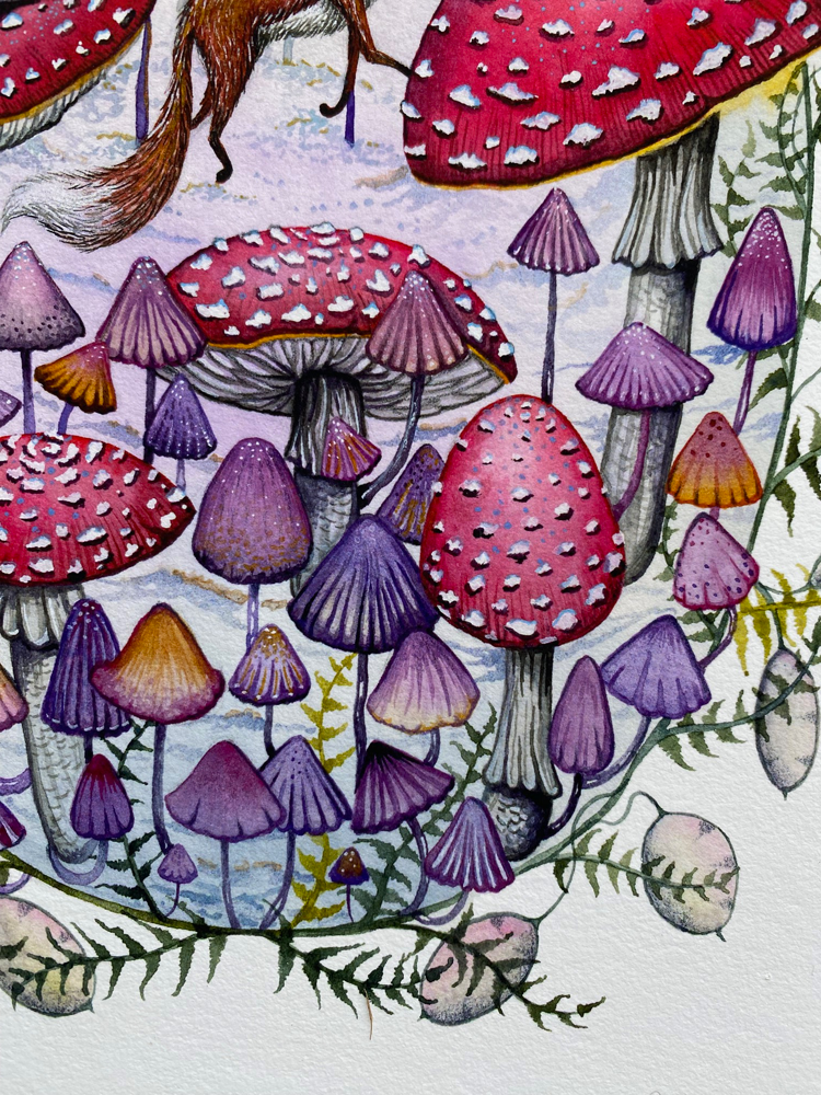 frolicking fox mushrooms close up