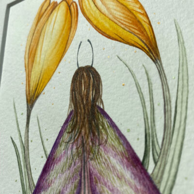spring crocus fairy metallic details