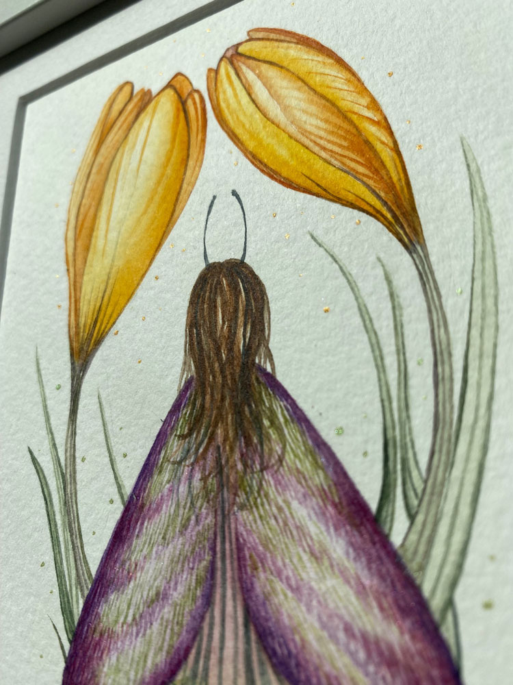 spring crocus fairy metallic details