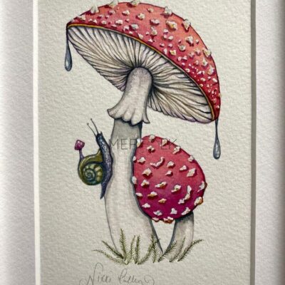 take shelter mounted fly agarics