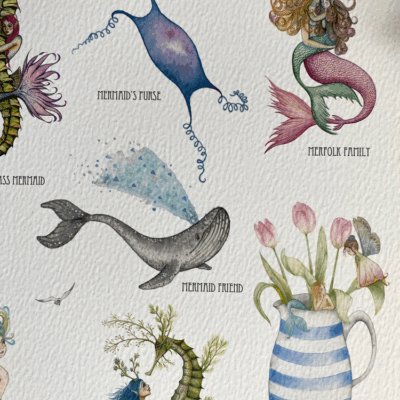 mermaid spotters guide a4 print with humpback whale, mermaids purse and mermaids