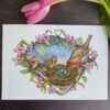 flower fairy and robin in apple blossom tree with eggs and nest