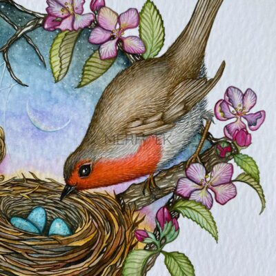 watercolour print robin bird