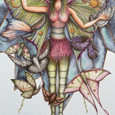 lunar moth fairy