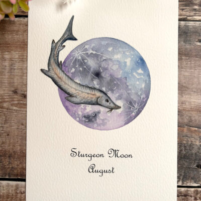 Sturgeon full moon a5 print.