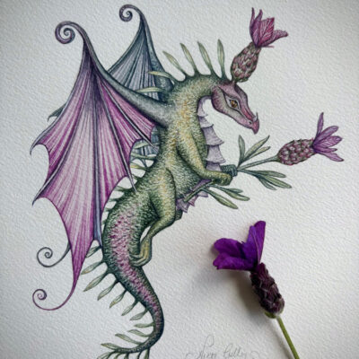 french lavender dragon original
