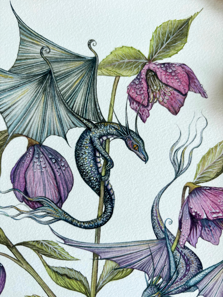 Hellebore Dragons with Scientific Name - Botanical Dragons Series - Image 2