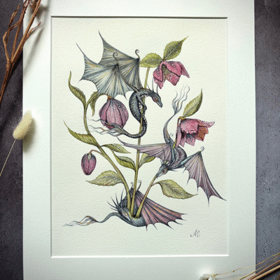 Hellebore dragon original artwork