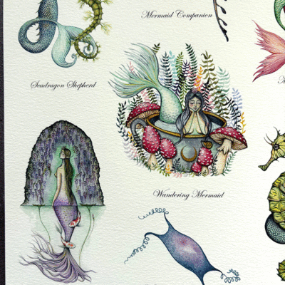 mermaid spotter guide 2 top