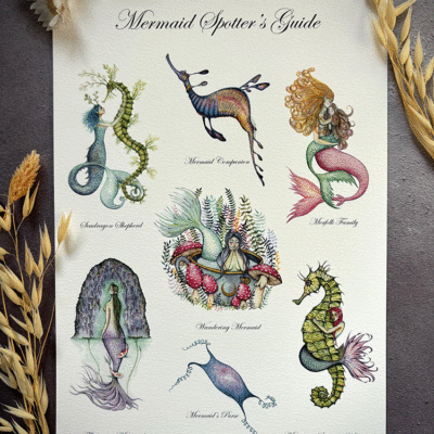 mermaid spotter 2 rectangle