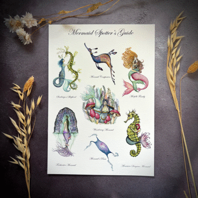 mermaid spotter guide 2