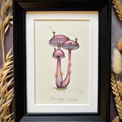 Amethyst deceiver faerie house