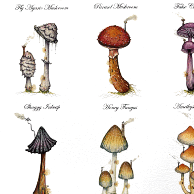 faerie house guide bottom left