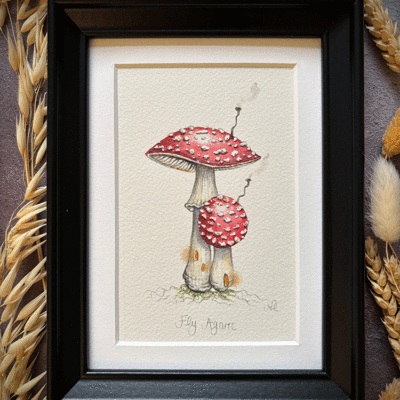 Fly agaric mushroom original framed artwork