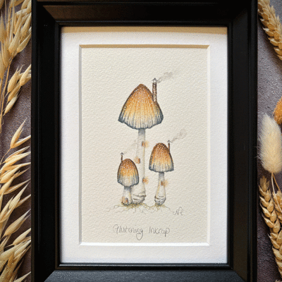 Glistening Inkcap faerie home