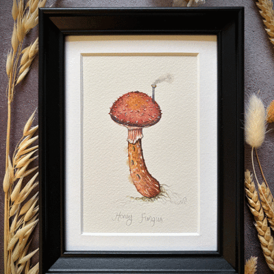 Honey fungus original artwork